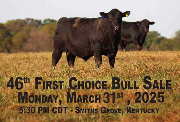 Spring 2023 Sale Postcard